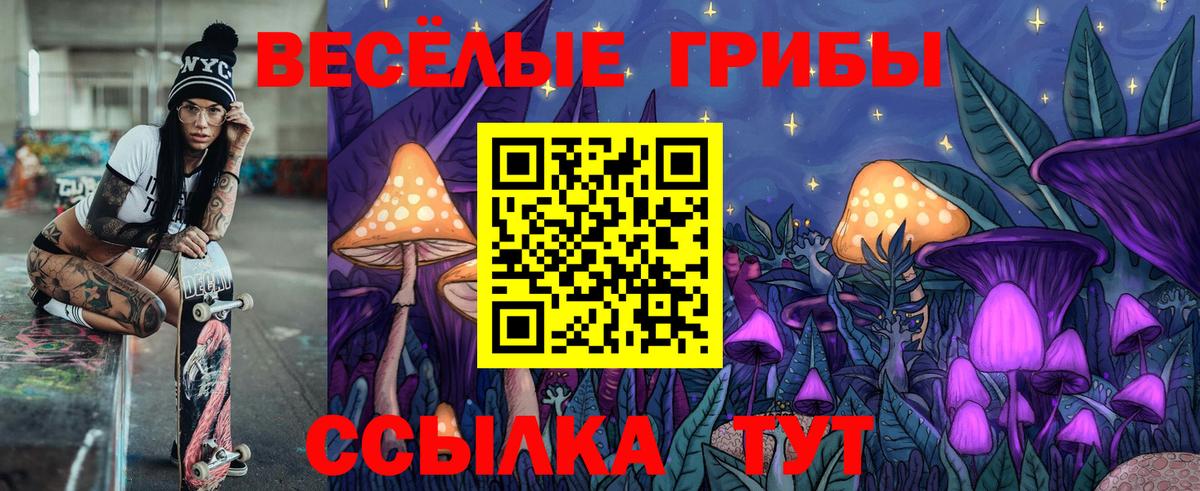 Псилоцибиновые грибы мицелий Гай