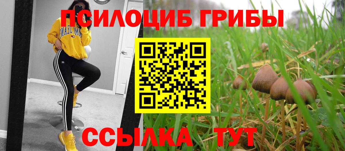 Псилоцибиновые грибы мухоморы  Вход с VPN  Гай 